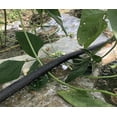 thumbnail image 6 of 1/2" x 50ft Flat Soaker Hose, Brass Garden Drip Irrigation Hose, Leak-Proof, for Lawn & Plants, 6 of 6
