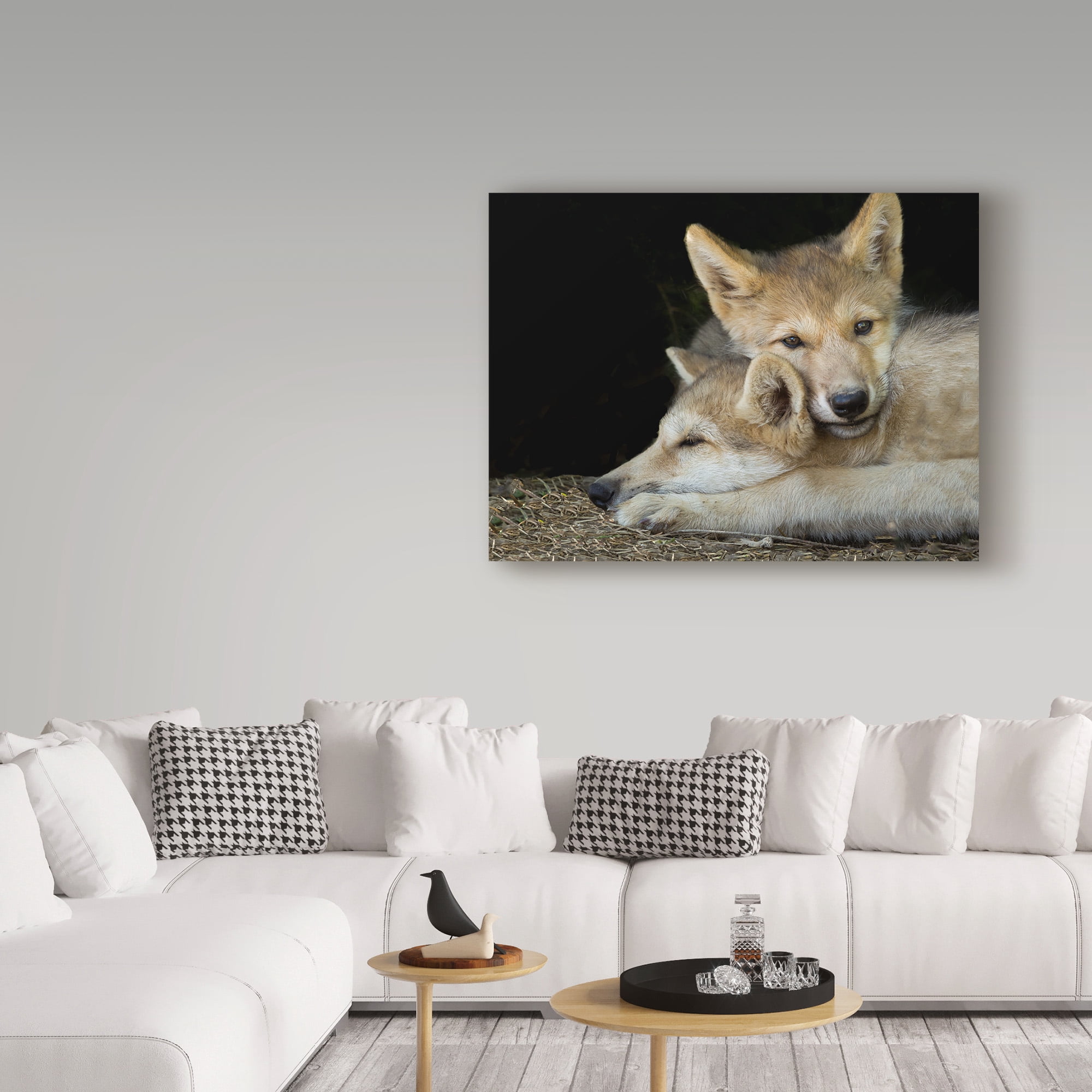 Trademark Fine Art 'Wolf Pup Brothers' Canvas Art by Galloimages Online