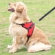 thumbnail image 5 of Chaleco de seguridad para perrosChaleco para mascotas cómodo y transpirable de mallaSin tirones, 5 of 5
