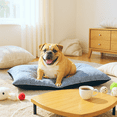 thumbnail image 6 of LinkRomat Washable Dog Bed for Medium Dogs Dog Crate Mat 36 Inch Comfy Fluffy Kennel Pad Anti-Slip for Dogs Up to 72 lbs, 36" x 26", 6 of 8