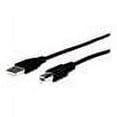 thumbnail image 2 of 25FT USB 2.0 AM/BM CABLE STANDARD SERIES LIFETIME WARRANTY, 2 of 2