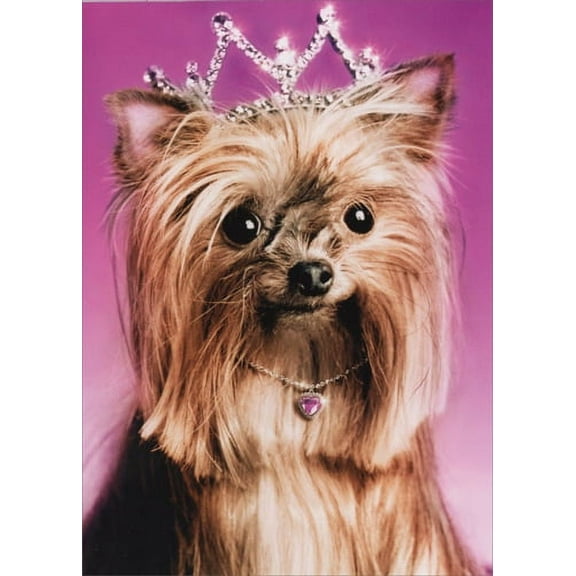 Avanti Press Yorkie Princess Dog Birthday Card