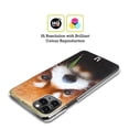 thumbnail image 2 of Head Case Designs Wildlife Red Panda Hard Back Case Compatible with Apple iPhone 12 Pro Max, 2 of 7