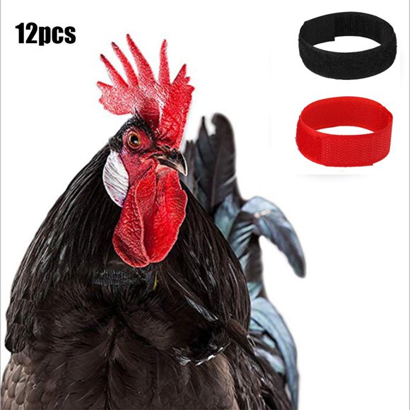 12 piezas de reducción de para gallos suministros de aves de corral negro y rojo Salvador Collar Gallo Anti Cuervo