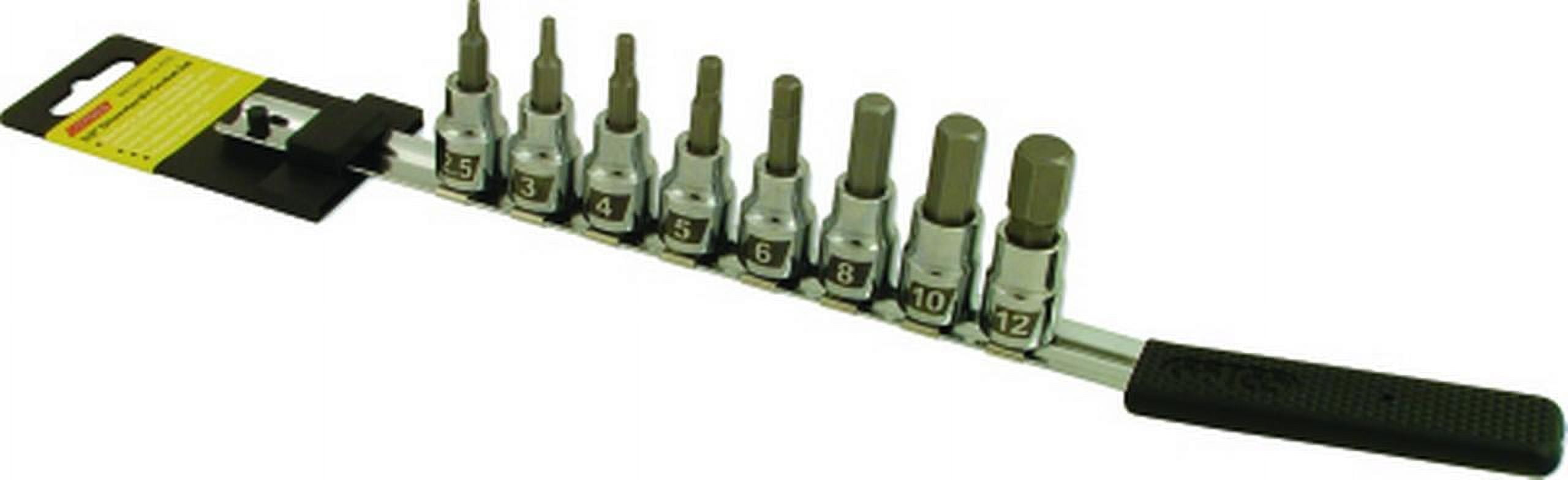 Cruztools ME38HBS Hex Bit Socket Set - Metric