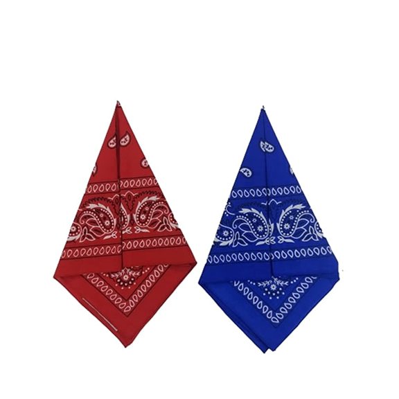 Bandanas for Men & Women, Boys & Girls - Paisley Bandana - Head Wrap, Scarf