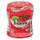 Trident Splash Sugar Free Gum, Strawberry with Lime Flavour, 1 Go-Cup (40 Pieces Total), 40 count - image 1 of 8