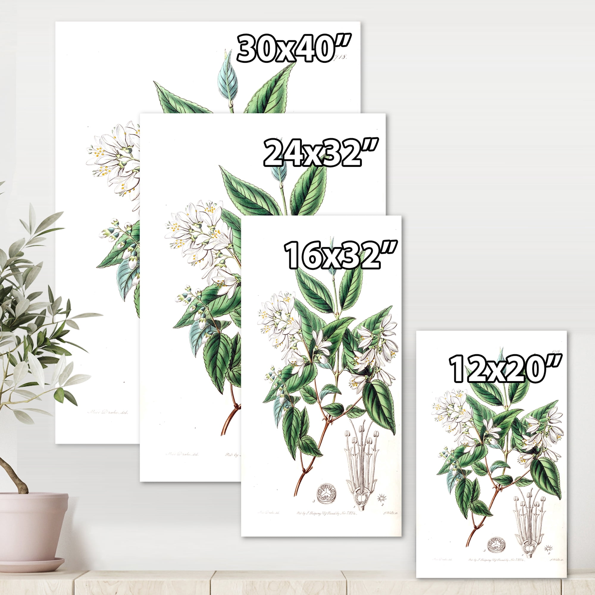 Designart ' Ancient Botanicals X ' Traditional Canvas Wall Art Print