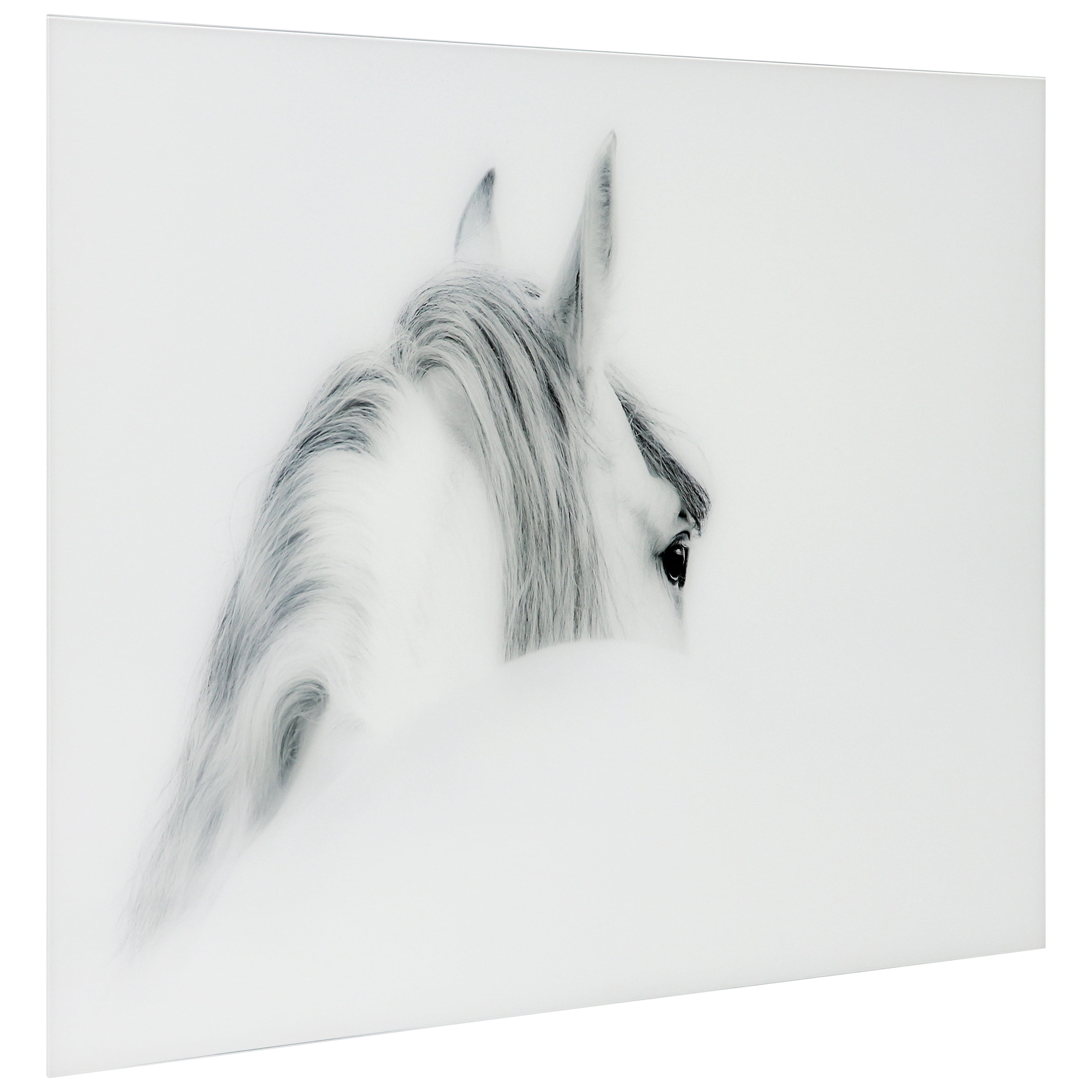 Empire Art Direct Blanco Mare Horse Frameless Free Floating Tempered Glass Panel Graphic Wall Art, 48" x 32" x 0.2", Ready to Hang