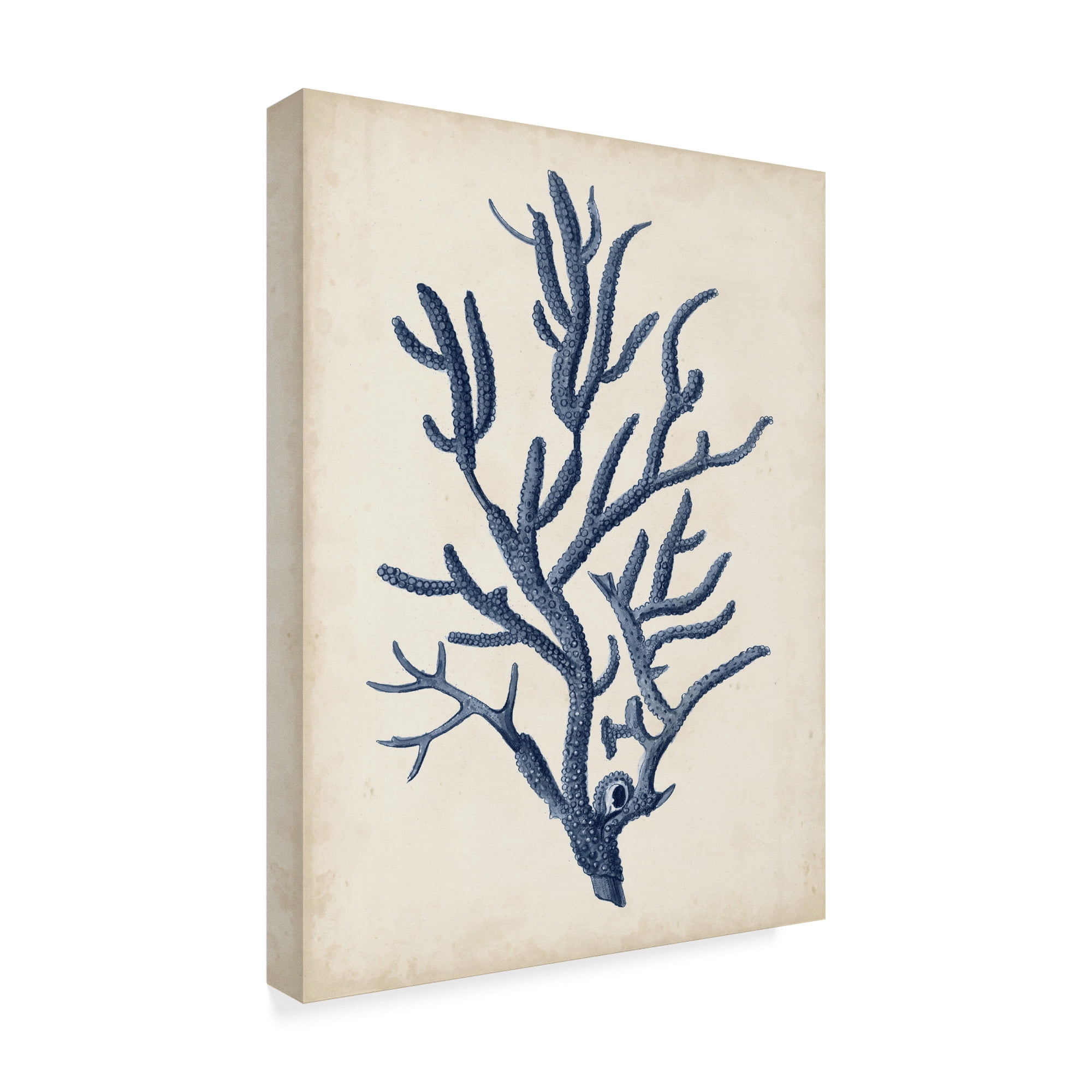 Trademark Fine Art 'Indigo Coral IV' Canvas Art by Vision Studio