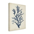 thumbnail image 2 of Trademark Fine Art 'Indigo Coral IV' Canvas Art by Vision Studio, 2 of 4