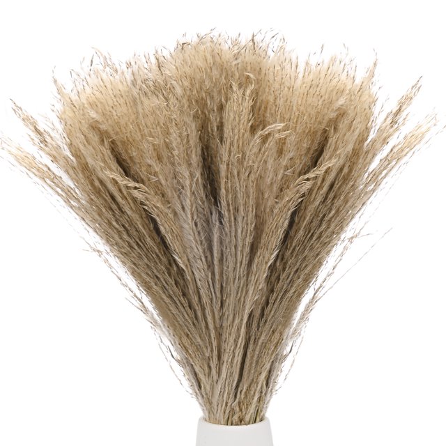 Uxcell 100-Pack Gramíneas de Pampas Falsas de 16 Pulgadas Beige Amarillo Pequeñas Decoraciones de Pampas Esponjosas para el Hogar, Bodas, Oficina