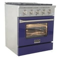 thumbnail image 3 of 30 in. 4.2 cu. ft. Dual Fuel Range Propane Gas Sealed Burners in Blue., 3 of 16