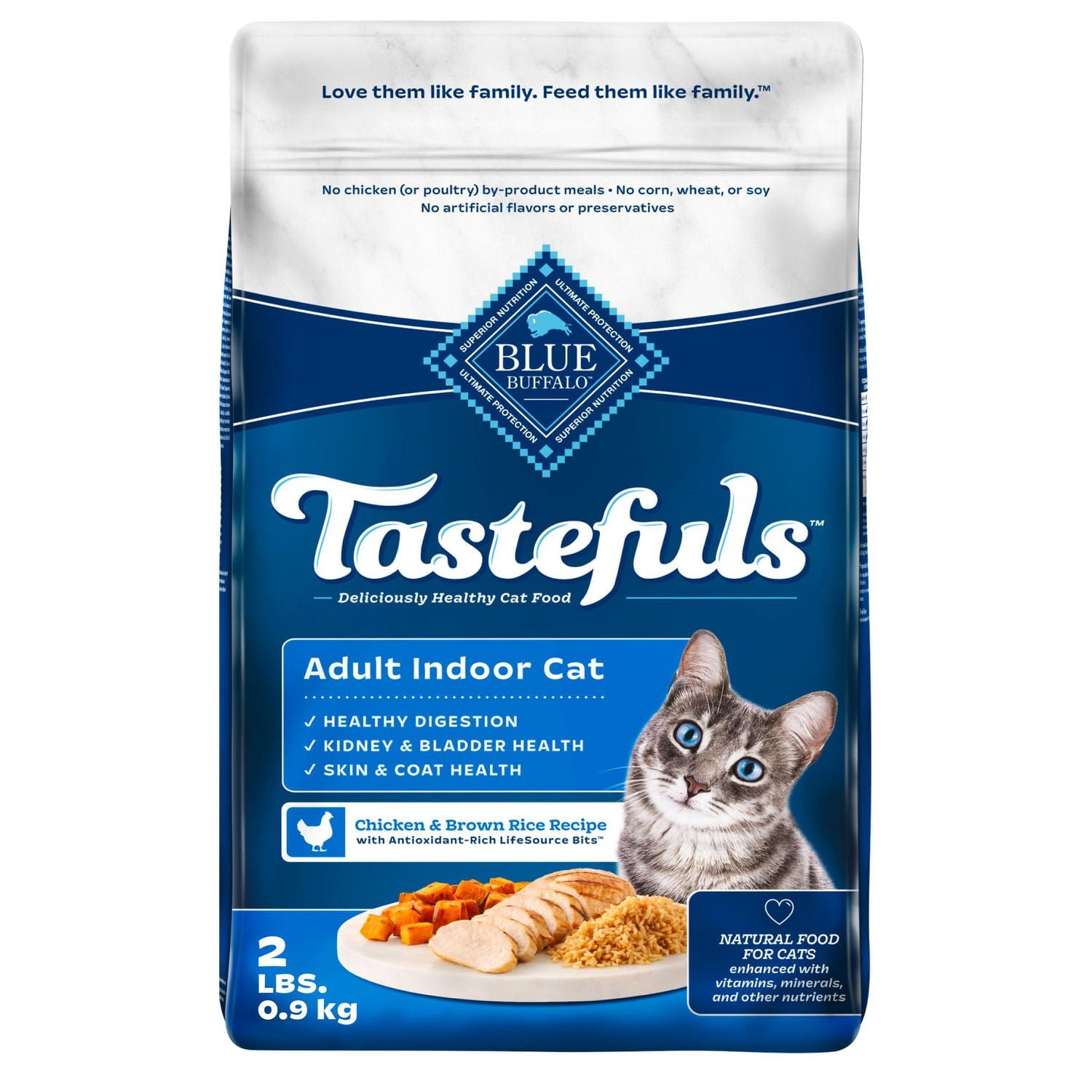 Who Much Food for a Adult Indoor Cat: Ultimate Feeding Guide