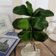 thumbnail image 4 of Plantas artificiales Sunnimix Hojas Tallas Vides 20 cm, 4 of 7