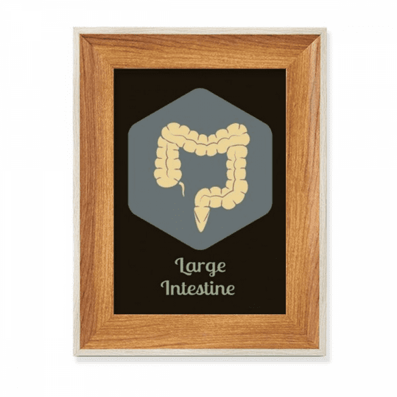 Body Large Intestine Desktop Wooden Photo Frame Display Picture Art Painting Multiple Sets