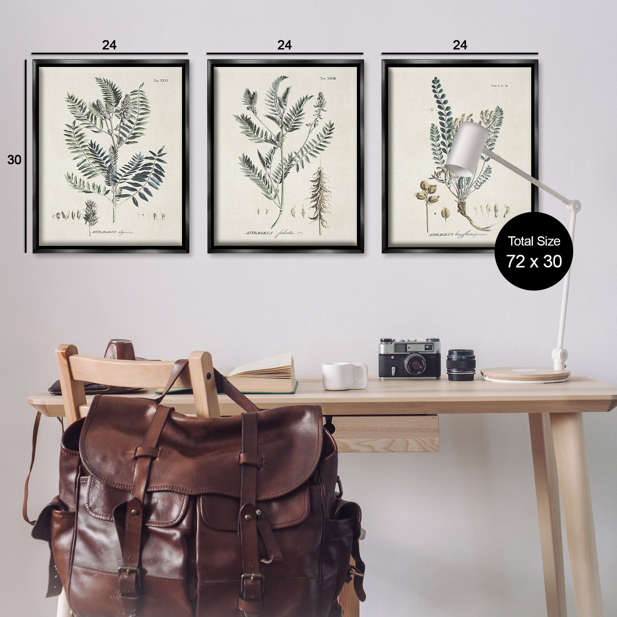Stupell Industries Woodland Plant Studies Botanical & Floral Painting Black Floater Framed Canvas Art Print Wall Art, 25 x 31, Set of 3