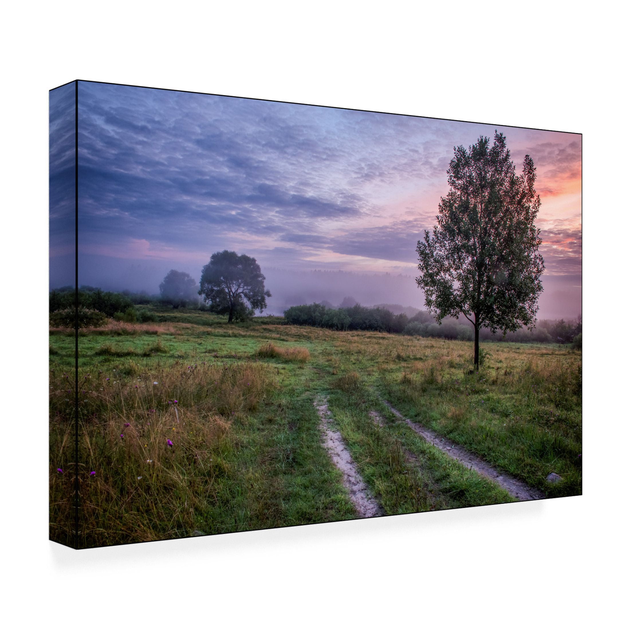 Canvas Wall Art - Yury A Melnikov 'Northern Mowing At Dawn 2' Wall Art for Living Room, Bedroom, or Office Décor by Trademark Fine Art - 47 x 30 Inches