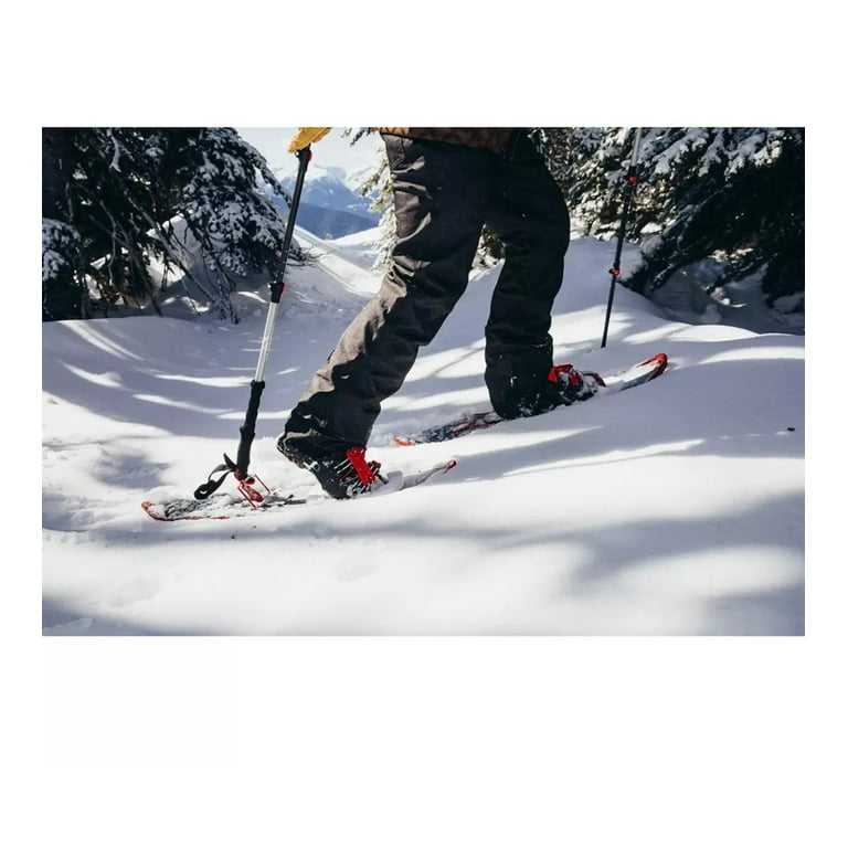 スキー・スノーボードアクセサリー VistPlateWCRV16-ALU V-TechSystem ALU6060 ALPTREK Pro SPIN Snowshoe Kit with Sawtooth Grips, Poles, and Case