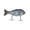 Crappie, variant on BUCCA BABY BULL GILL 3.75" / 3/4 OZ / NATURAL GILL #6 (1 PACK)