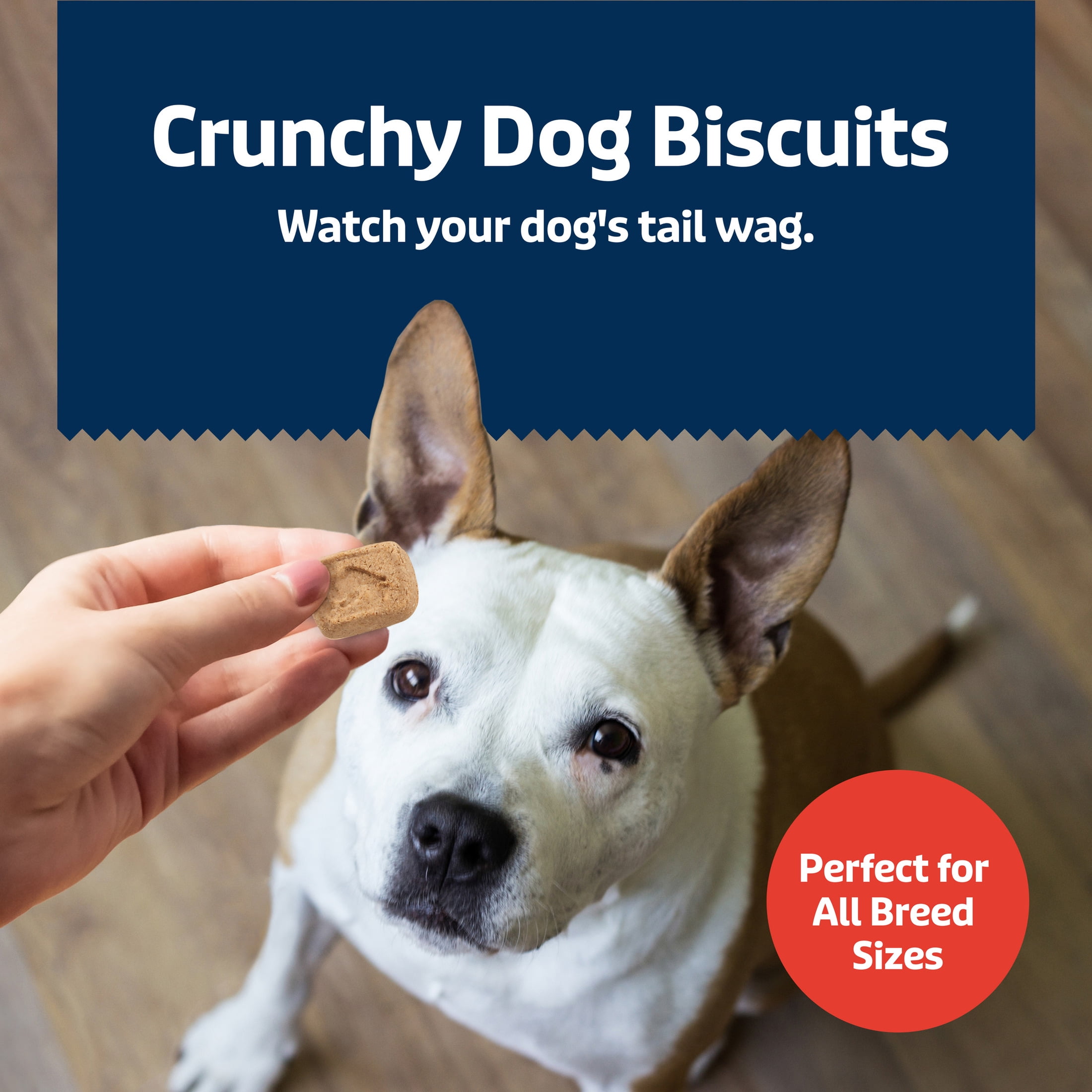 (4 pack) Blue Buffalo Health Bars Mini Crunchy Dog Biscuits, Oven-Baked with Natural Ingredients, Bacon, Egg & Cheese, 16-oz Bag