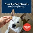 thumbnail image 4 of Blue Buffalo Health Bars Mini Crunchy Dog Biscuits, Oven-Baked with Natural Ingredients, Bacon, Egg & Cheese, 16-oz Bag, 4 of 9