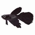 thumbnail image 1 of Peces Pequeños de Silicona, Peces Artificiales Realistas, Peces Falsos Coloridos Con Función de Limpieza, Adorno Flotante Para Decoración de AcUario para Agua Dulce y Salada, 1 of 7