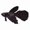 Brown, variant on Silicone Floating Betta Artificial Fish Tank Ornament Decoration Swimming Effect Brown Betta