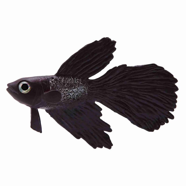 Peces Pequeños de Silicona, Peces Artificiales Realistas, Peces Falsos Coloridos Con Función de Limpieza, Adorno Flotante Para Decoración de AcUario para Agua Dulce y Salada