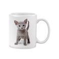 thumbnail image 2 of Russian Blue Kitten. Mug  -Image by Shutterstock,, 2 of 4