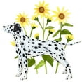 thumbnail image 2 of Warren, Annie 20x20 White Modern Wood Framed Museum Art Print Titled - Garden Trot II, 2 of 4