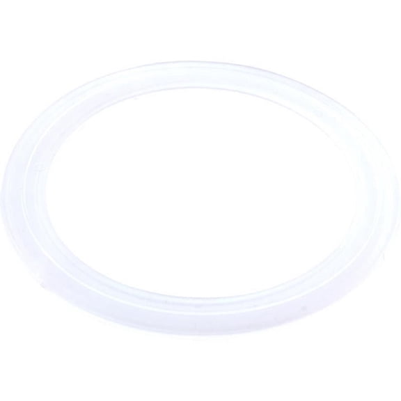 Pentair 47224000 Wall Fitting Gasket 2/3-Port