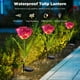 thumbnail image 4 of Luz De Enchufe De Tierra De Tulipán 2 piezas de luz de enchufe de tierra de tulipán solar 600 mAh IP65 decoración de jardín (gradiente púrpura), 4 of 6