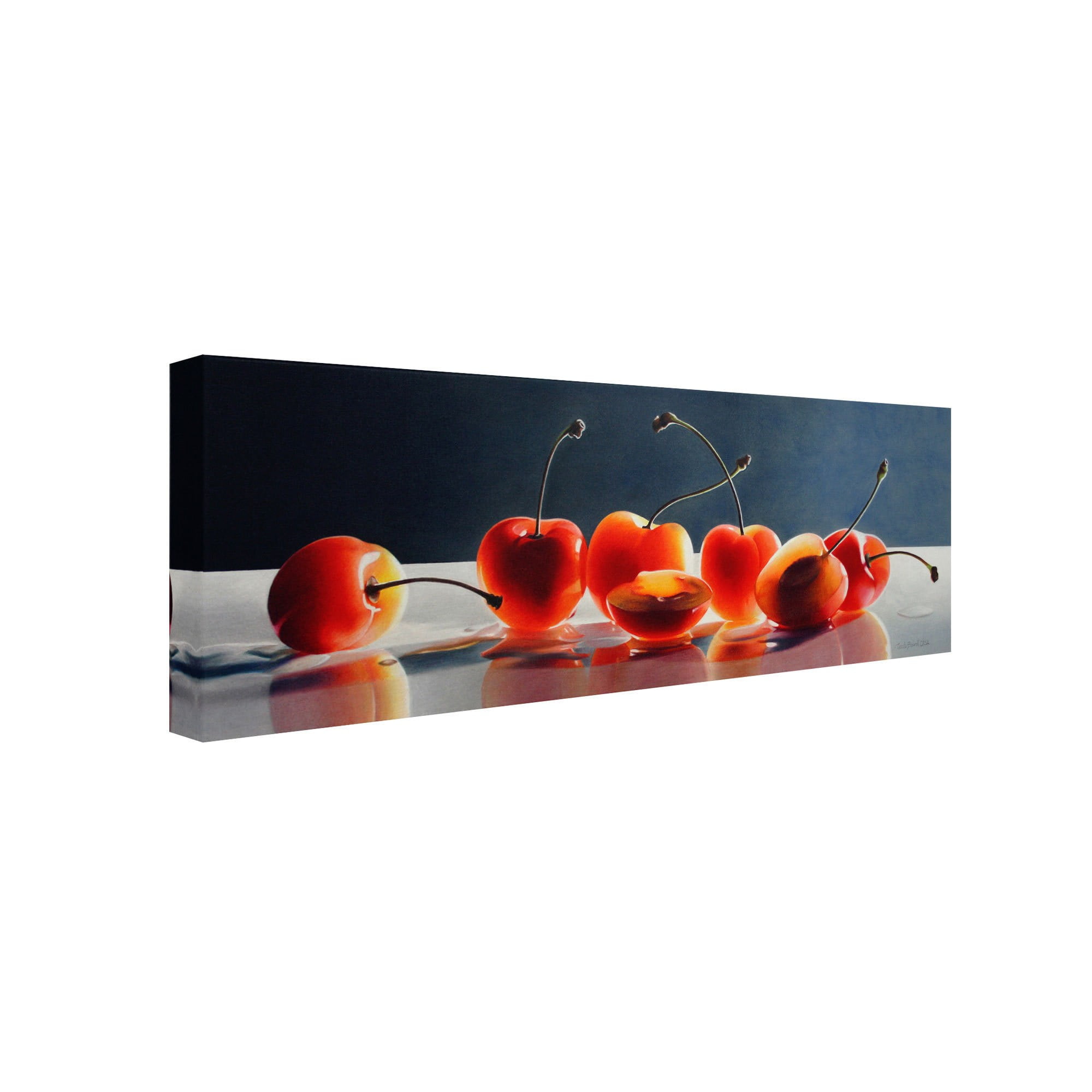 Gallery Wrapped 6x19 Canvas Art