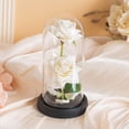 thumbnail image 2 of Eternal Rose in Glass Dome with LED Light - Romantic Preserved Flower Gift for Women, Valentine's Mother's Day Birthday Present for Her, Wife, Mom, Girlfriend (Galaxy Rose), 2 of 5