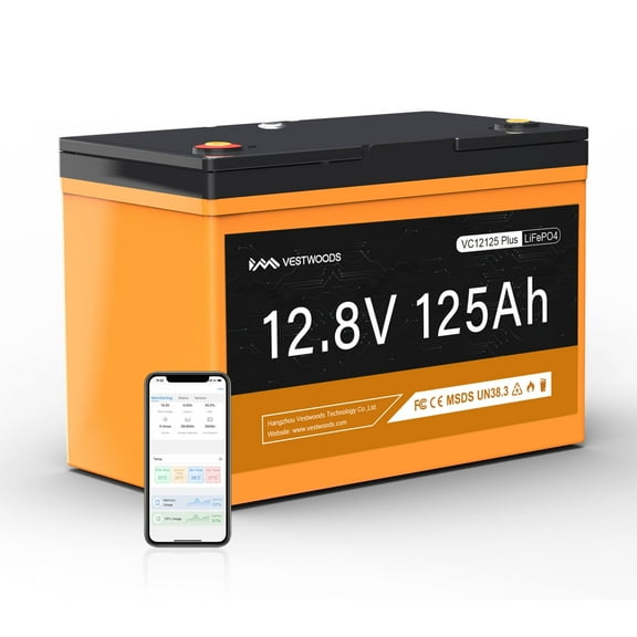12V Lithium Group 27 Deep Cycle Battery, 125Ah LiFePO4 RV Marine Battery, Bluetooth App 100A BMS 1280W for Solar System, Camper, Refrigeration, Outboard Motor, Parking Overnight, Tractor