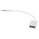 thumbnail image 4 of Enchufe de sonido AUX. De 3,5 Mm A Cable Convertidor USB MP3, 4 of 7