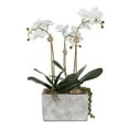 thumbnail image 3 of Jenny Silks Real Touch White Phalaenopsis Orchids, Leaves, String of Pearls in Pot - 16W x 9D x 23H, 3 of 4