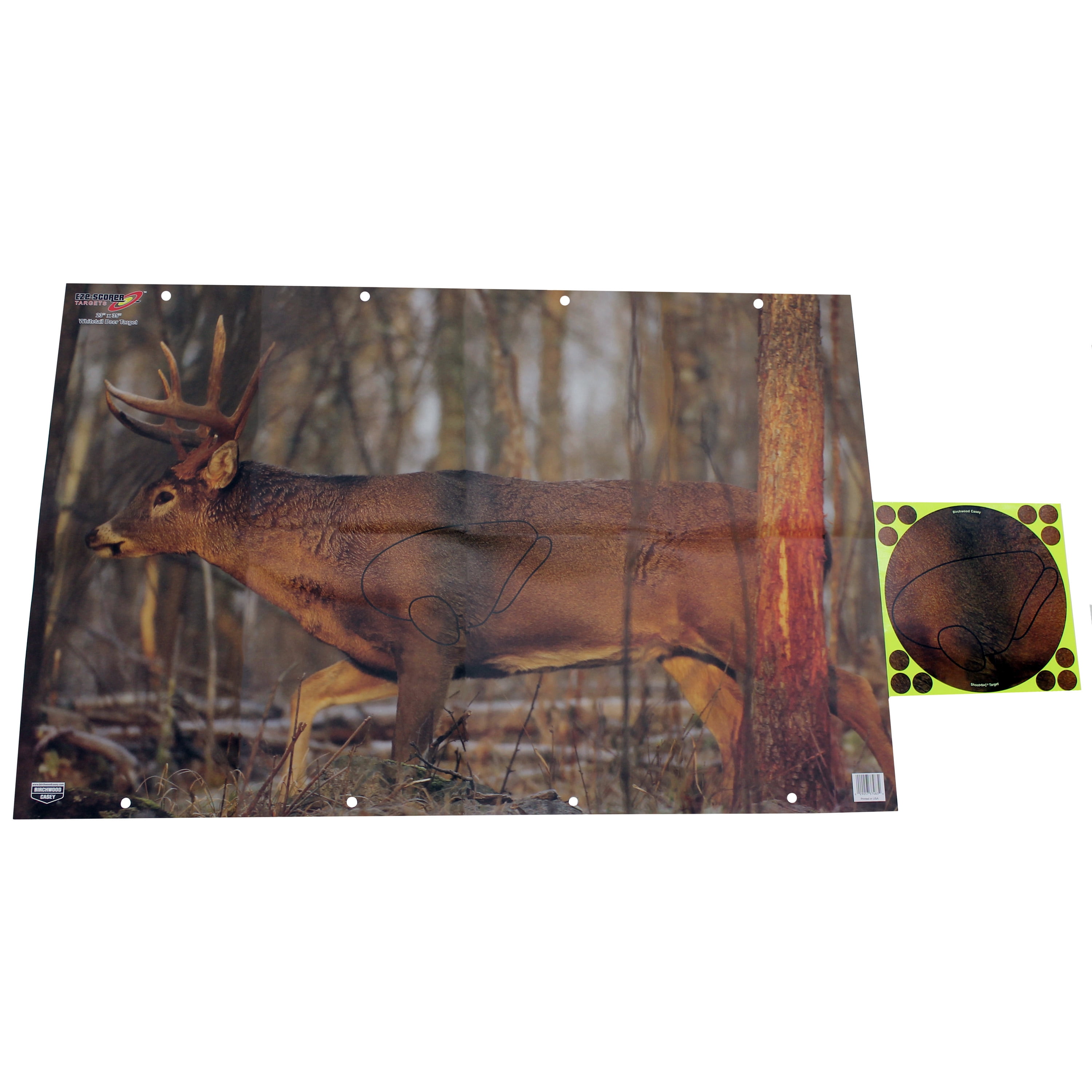 Full Color 16.5" x 24" PREGAME Whitetail Deer Splattering Targets w/Vitals 