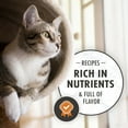 Nutro Wholesome Essentials Natural Chicken, Rice & Peas Dry Cat Food For Sensitive Adult Cat, 3
