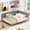 Gray, variant on Solid Wood+MDF Daybed | Switchable Bed-Sofa Function | Provide Extra Support and Comfort