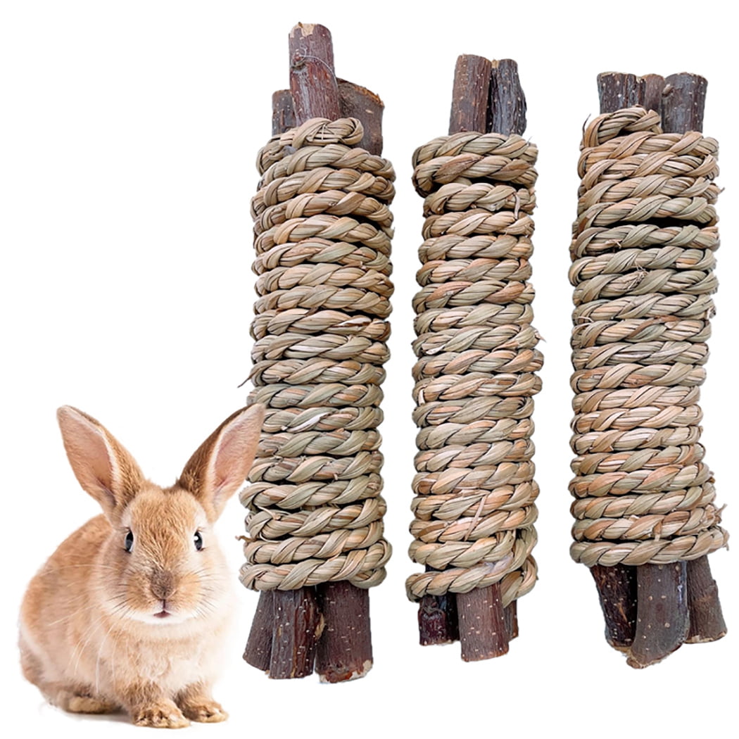 rabbits chewing wood