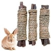Rabbit Wood Sticks Interactive 3PCS Bunny Chewing Stick Chinchilla Chew Sticks