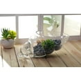 thumbnail image 3 of Hosley Clear Glass Shell Vase 8 Inches Long, 3 of 6