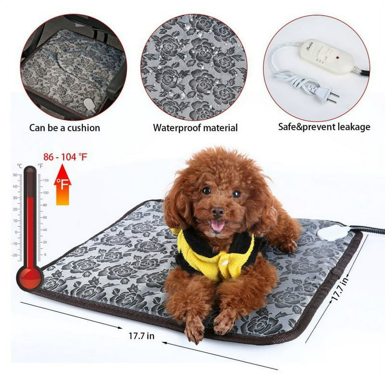 An Expert's Advice on Dog Heating Pads, Plus 10 Options to Try