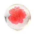 thumbnail image 1 of Jabones: Jabón de aceite de aminoácidos, Jabón transparente, Jabón herbal, Jabón de manos creativo, Jabón limpiador facial, Jabón de baño, Jabón creativo floral (80 g)., 1 of 1
