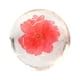 thumbnail image 1 of Fiudx Jabón de Aceite de Aminoácidos, Jabón Transparente, Jabón de Hierbas, Jabón de Manos Creativo, Jabón Limpiador Facial, Jabón de Baño, Jabón Creativo de Flores 80 G, 1 of 2