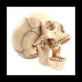 thumbnail image 3 of Modelo de Cuerpo Humano de CráNeo Modelo Educativo de CráNeo 1:2 para el Modelo de Ensamblaje del Estudio de EnseñAnza del Estudiante, Color Primario, 3 of 5
