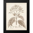 thumbnail image 2 of Unknown 19x24 Black Modern Framed Museum Art Print Titled - Antique Sepia Botanicals III, 2 of 5