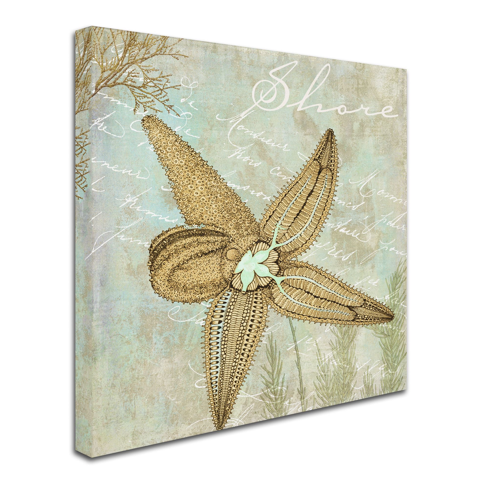 Trademark Fine Art "Turquoise Beach V" Canvas Art by Color Bakery